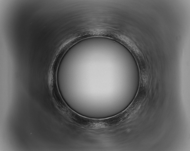 X0000100310583200806051458