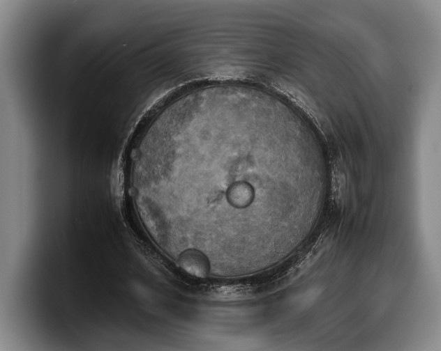 X0000100310584200806051458