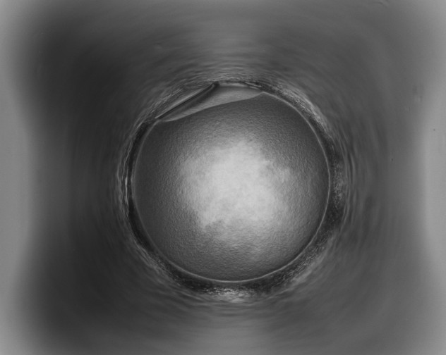X0000100310585200806051458