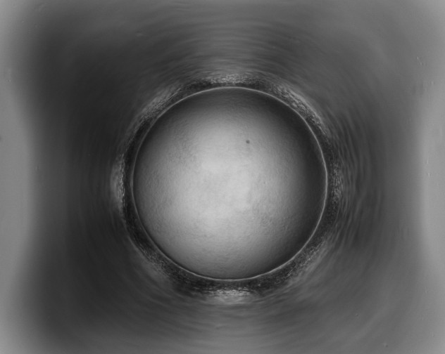 X0000100310586200806051458