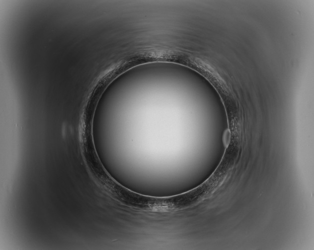 X0000100310587200806051458