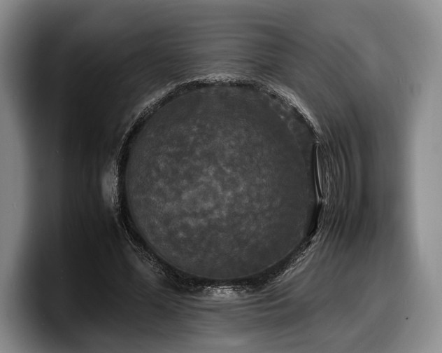 X0000100310588200806051458