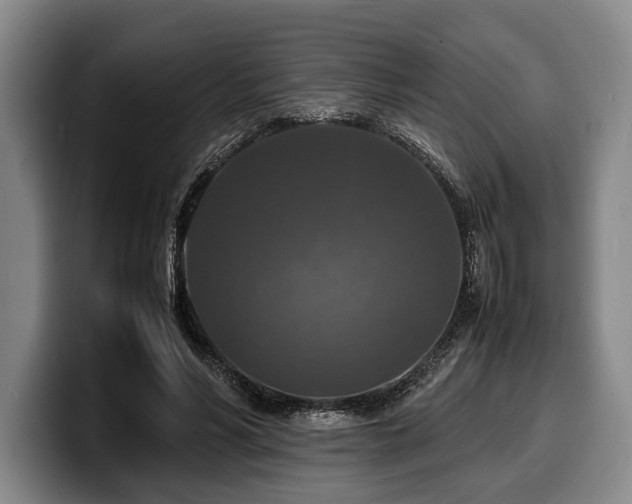 X0000100310590200806051458
