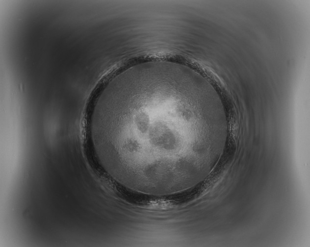 X0000100310591200806051458