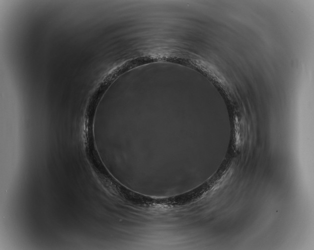 X0000100310592200806051458