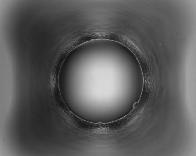 X0000100310593200806051458