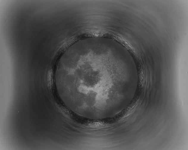 X0000100310594200806051457