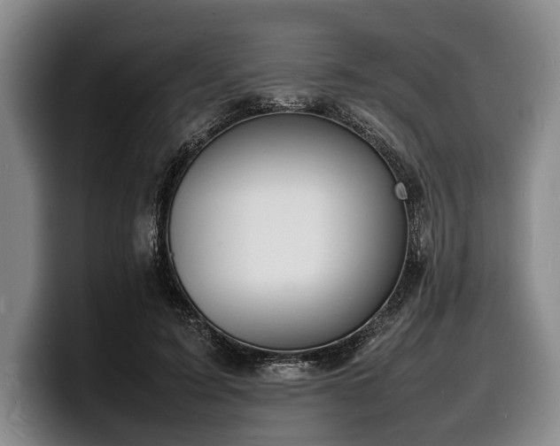 X0000100310595200806051457