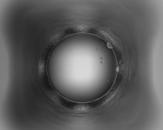 X0000100310597200806051457