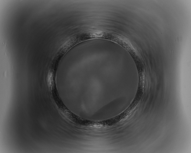 X0000100310598200806051457