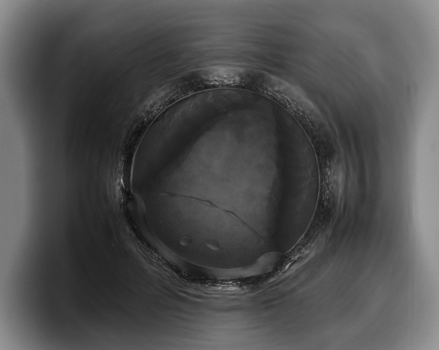 X0000100310600200806051457
