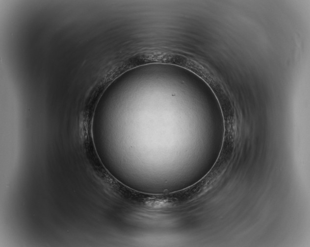 X0000100310602200806051457