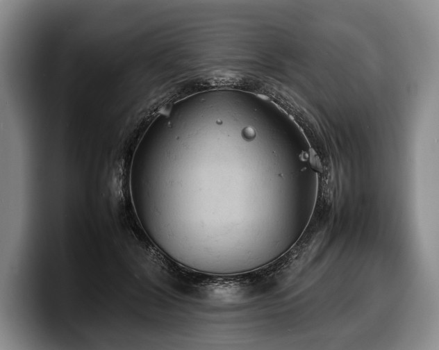 X0000100310604200806051457