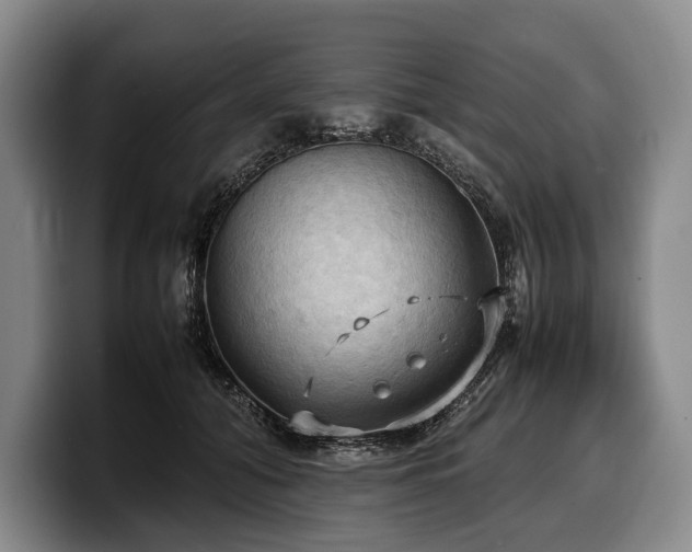 X0000100310608200806051457