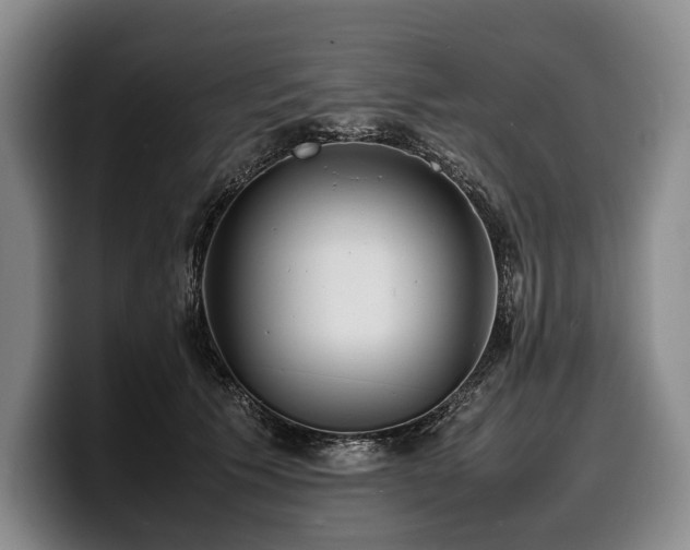 X0000100310609200806051457