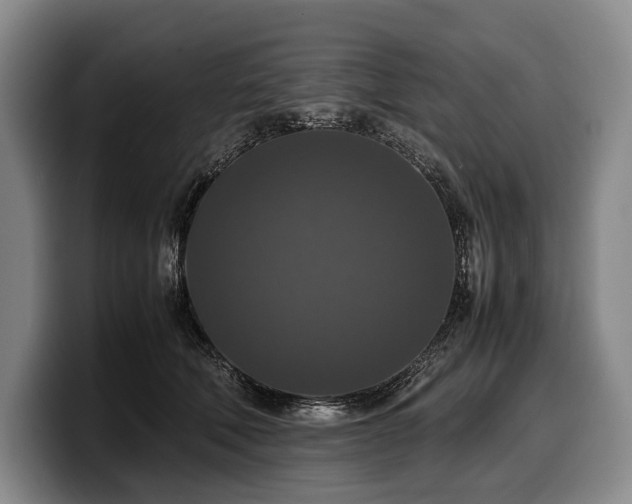 X0000100310610200806051457