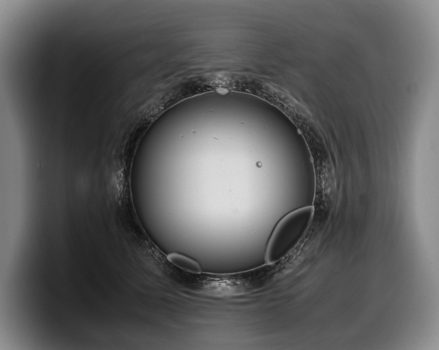 X0000100310611200806051457