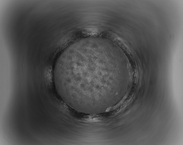 X0000100310612200806051457
