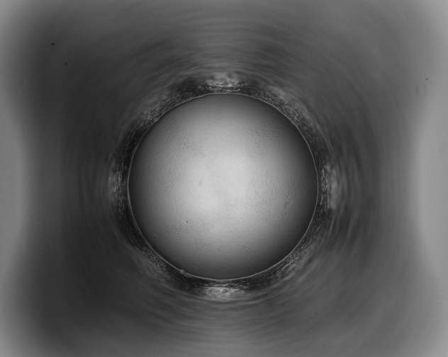 X0000100310614200806051457