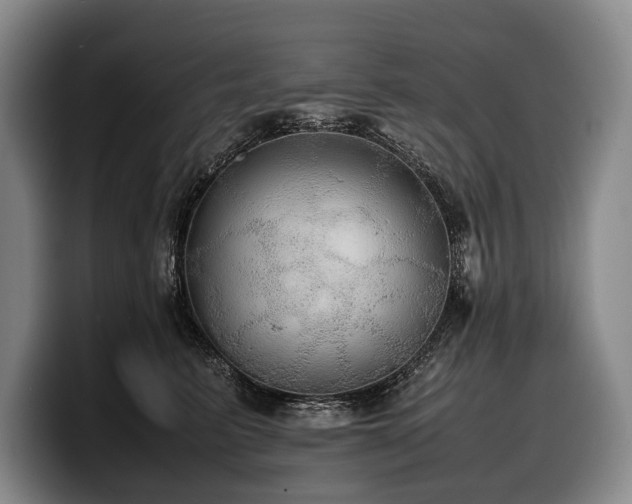 X0000100310615200806051457