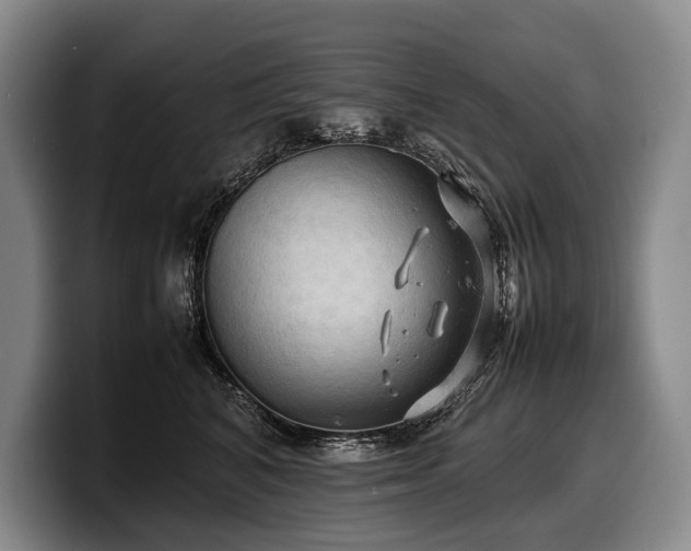 X0000100310616200806051457