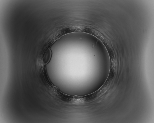 X0000100310617200806051457
