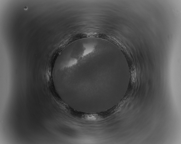 X0000100310618200806051457