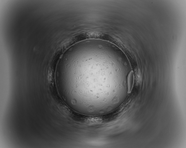 X0000100310619200806051457