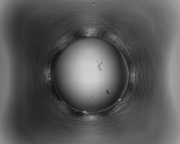 X0000100310620200806051457