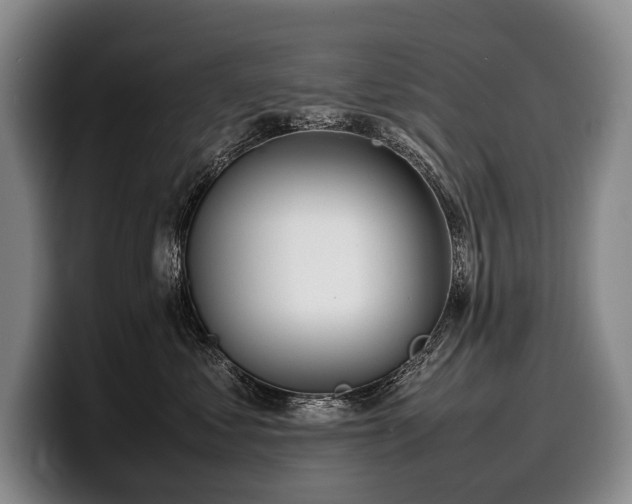 X0000100310621200806051457