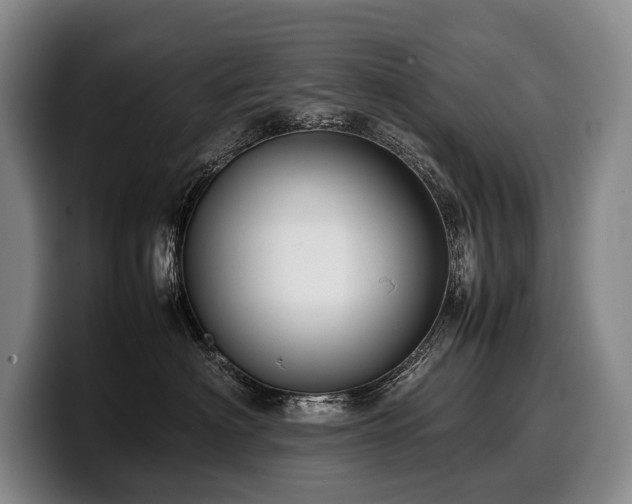 X0000100310622200806051457