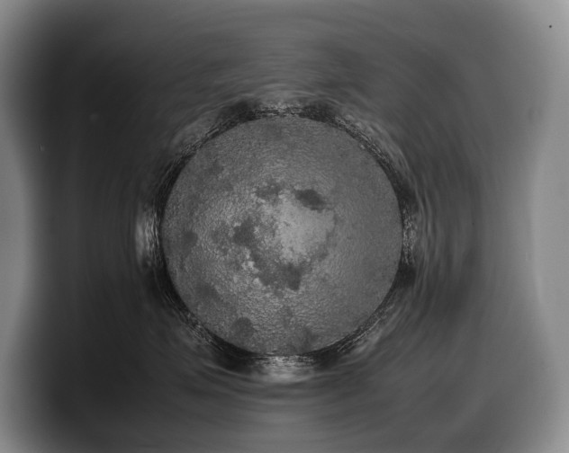 X0000100310623200806051457