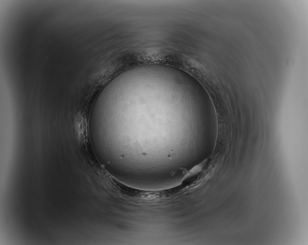 X0000100310624200806051457