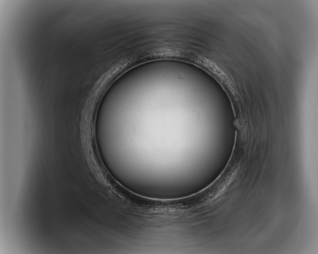 X0000100310625200806051456
