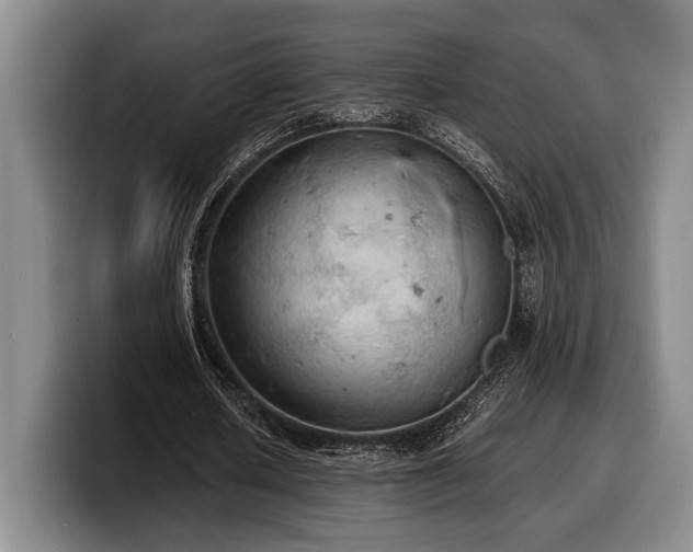X0000100310626200806051456