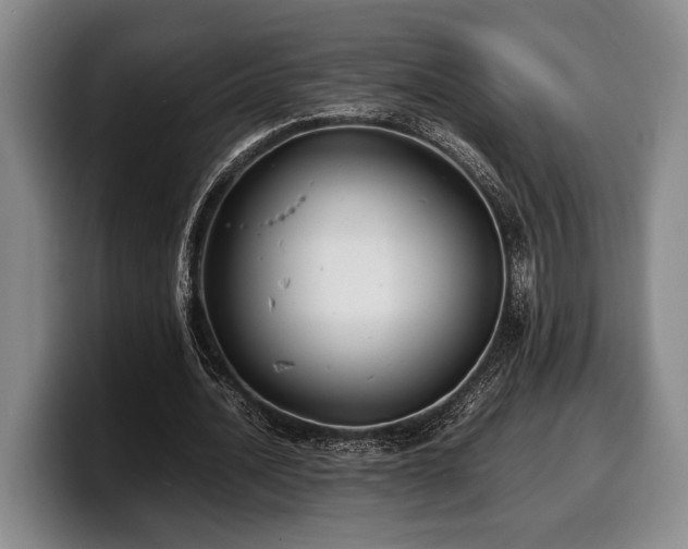 X0000100310628200806051456