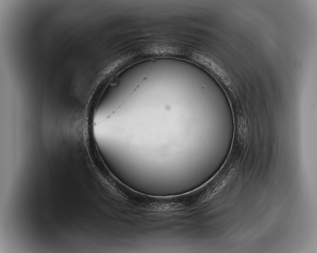 X0000100310629200806051456