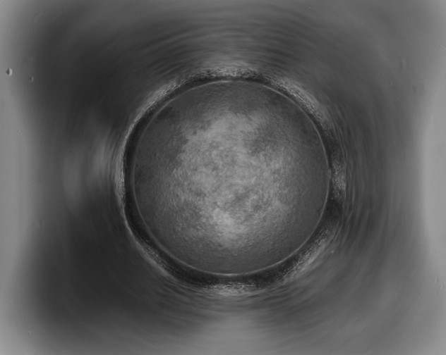 X0000100310630200806051456