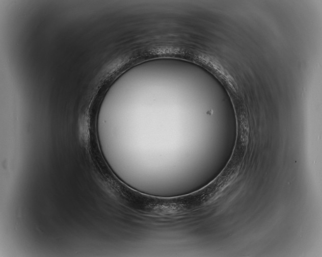 X0000100310631200806051456