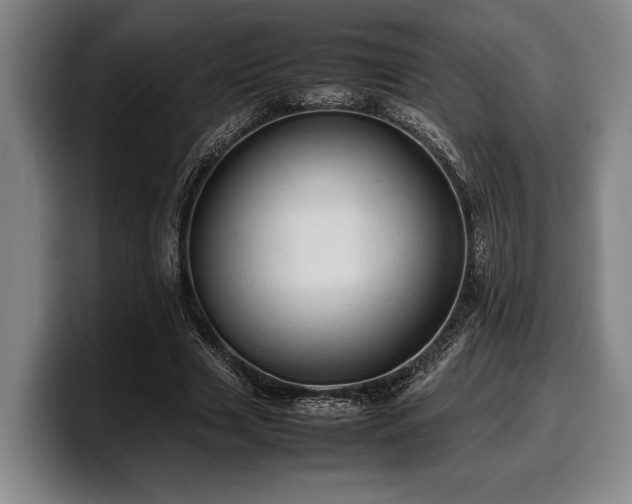 X0000100310633200806051456