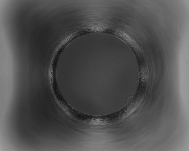 X0000100310634200806051456