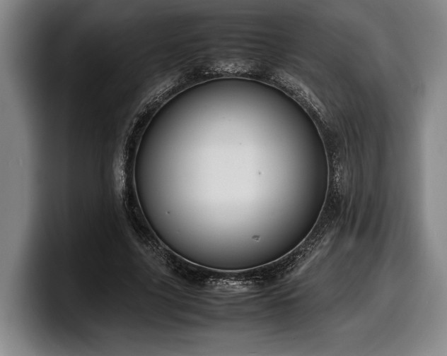 X0000100310635200806051456