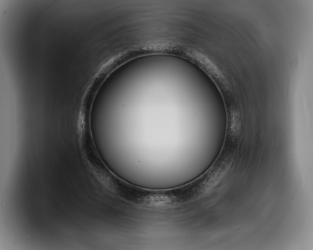 X0000100310636200806051456