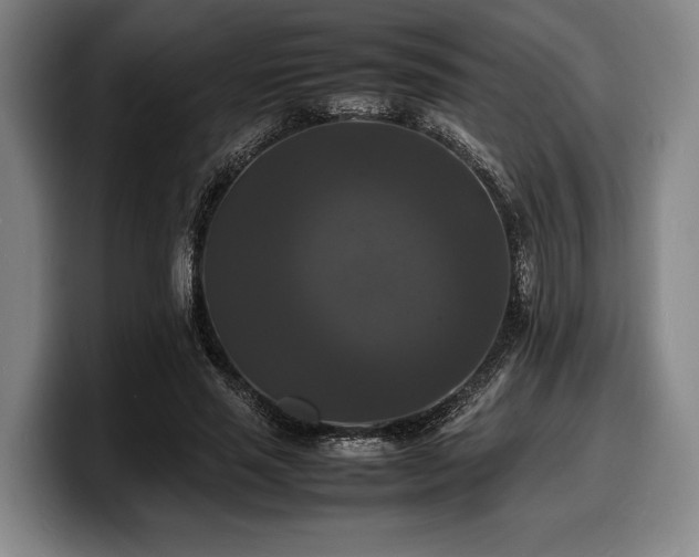 X0000100310637200806051456