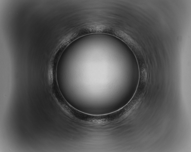 X0000100310638200806051456