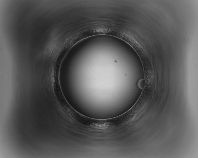 X0000100310639200806051456