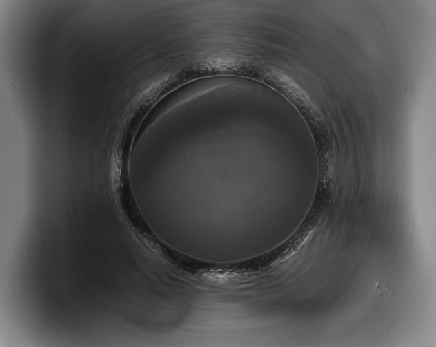X0000100310640200806051456