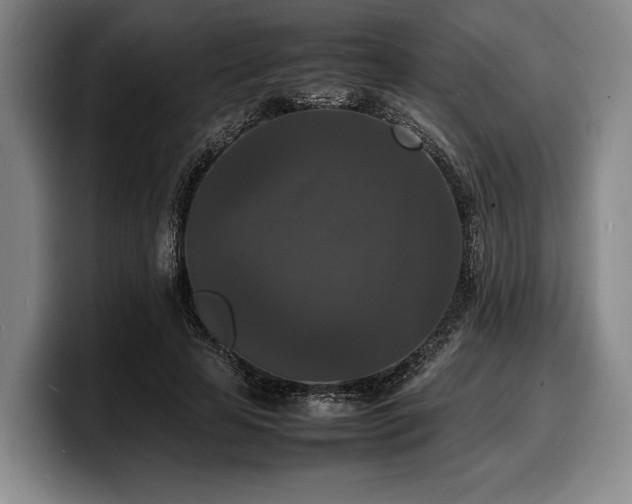 X0000100310641200806051457