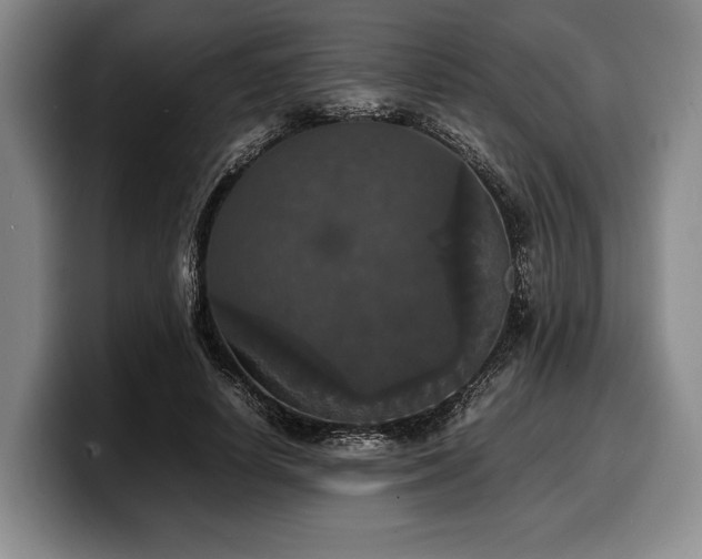 X0000100310642200806051457