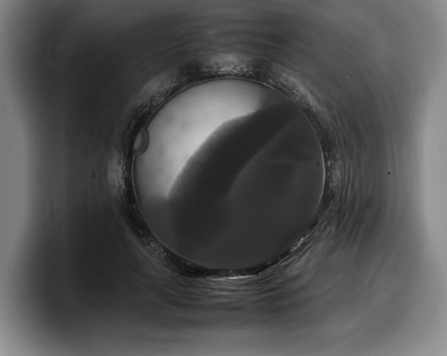 X0000100310643200806051457